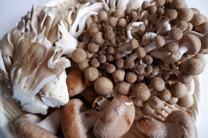 Assorted Mushrooms, the Taste of Autumn