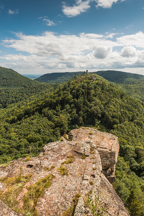 Palatinate Forest with the ruins of Anebos and Scharfenberg, Rhineland Palatinate, Germany Palatinate Forest with the Ruins of Anebos and Scharfenberg, Rhineland Palatinate, Germany, by Zoonar Conny Pokorny
