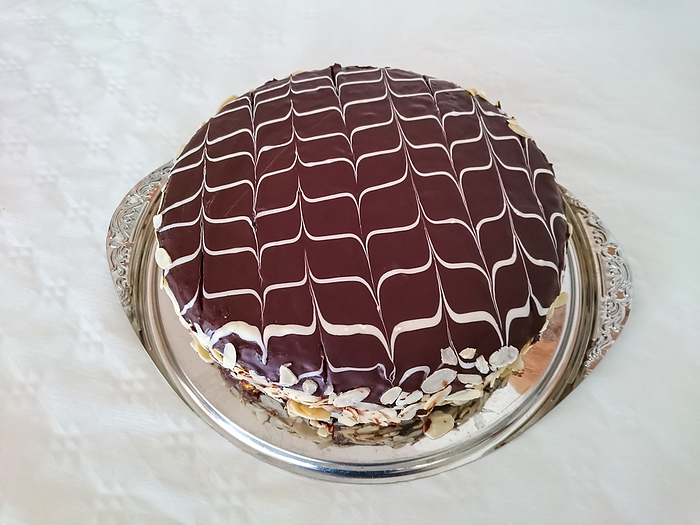 Cake With Chocolate Coating Cake With Chocolate Coating