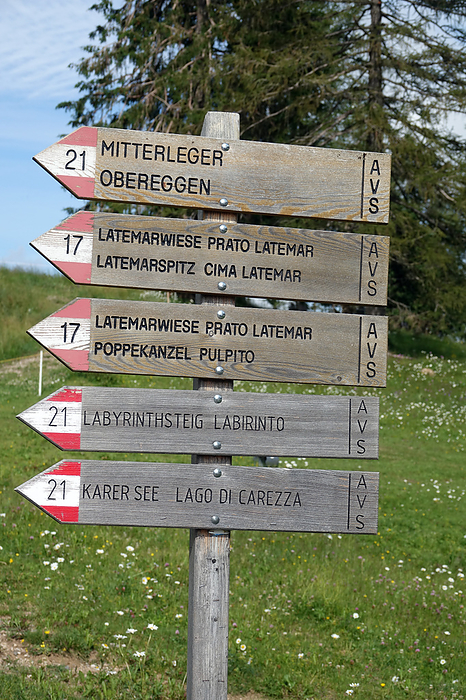Signpost at the Latemar meadows Signpost at the Latemar meadows, by Zoonar Volker Rauch