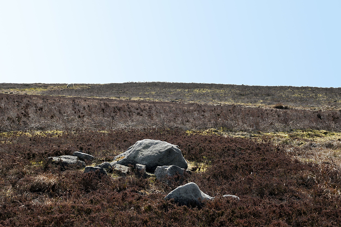 pennine moorland landscape with large old boulders and stones on midgley moor in west yorkshire pennine moorland landscape with large old boulders and stones on midgley moor in west yorkshire, by Zoonar Philip Openha