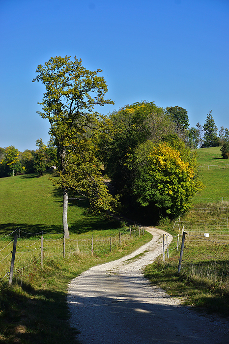 country lane in autumnal landscape on the Swabian Alb, germany country lane in autumnal landscape on the Swabian Alb, germany, by Zoonar J rgen Vogt