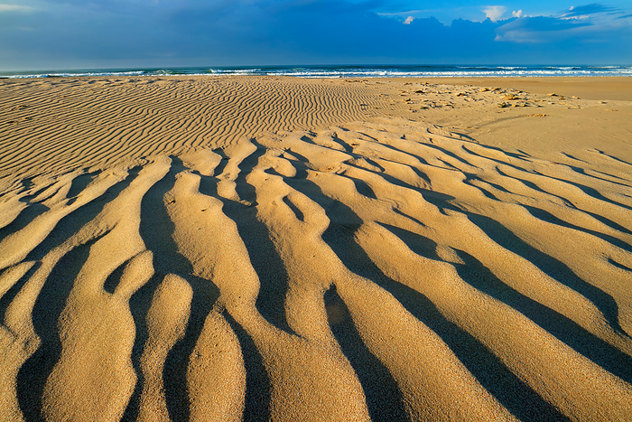 Scenic beach early morning with wind blown patterns in the sand Scenic beach early morning with wind blown patterns in the sand, by Zoonar Nico Smit