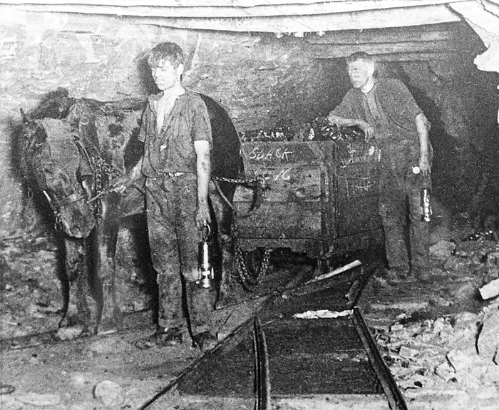 A pit pony pulling a tub full of coal at Brinsley Colliery, Nottinghamshire, 1913. Artist: Rev FW Cobb A pit pony pulling a tub full of coal at Brinsley Colliery, Nottinghamshire, 1913. Coal has been mined in the Eastwood area for nearly 700 years. Originally, the monks of Beauvale Priory held the coal mining rights and there may have been shallow workings dating further back to Roman times. By the 1870s the good quality  top hard  coal at Brinsley had been almost exhausted and a second shaft was sunk in 1872 to a depth of 780 feet. At its peak of production the colliery produced around 500 tons of coal a day and employed 361 men, 282 of whom worked at the coal faces. By 1930, coal reserves had been exhausted but the shafts were kept open until 1970 to access neighbouring pits. The Brinsley Colliery site has now been landscaped and turned into a picnic area. This photograph was taken by the Rev FW Cobb  1872 1938 , who was Rector of Eastwood from 1907 to 1917. Many of his photographs were taken under extremely difficult and dangerous conditions and combine to make a remarkable contribution to mining history during the early part of the 20th century Artist: Rev FW Cobb