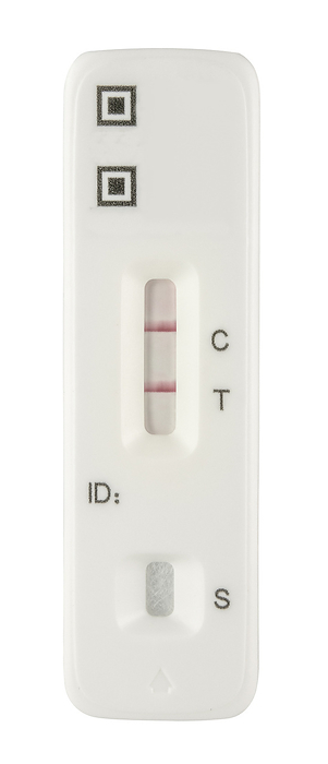 Positive COVID Rapid Test Strip Positive COVID Rapid Test Strip, by Zoonar Roy Henderson