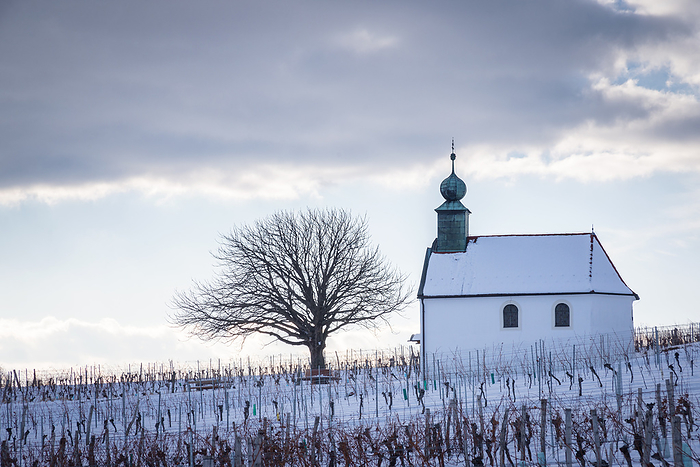 Small chapel in a winter vineyard in Burgenland Small chapel in a winter vineyard in Burgenland, by Zoonar Ewald Fr