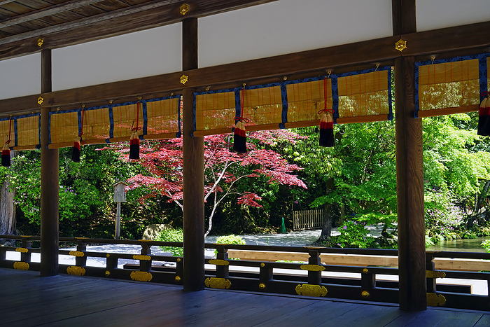 World Heritage Site Kamigamo Shrine Hashiden  Maiten  Kyoto Pref.                                