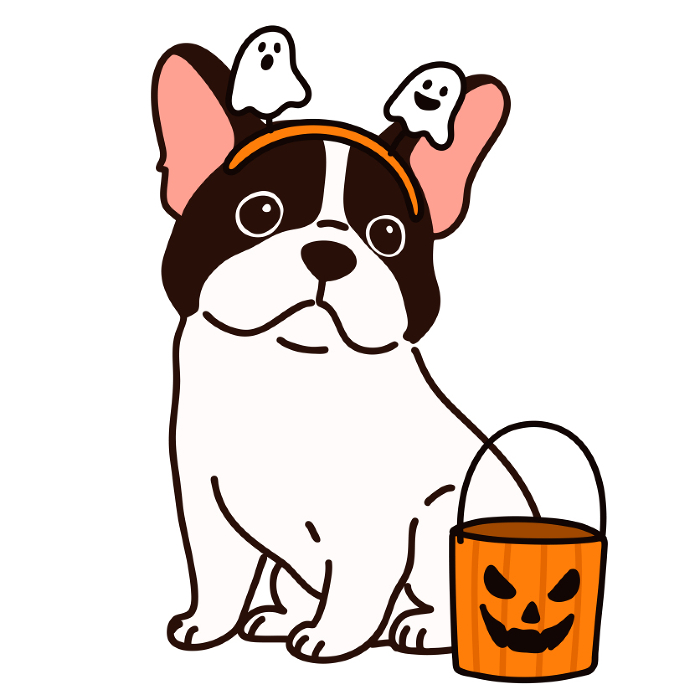 French bulldog sitting in Halloween style with main line
