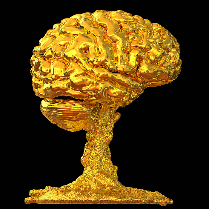 Golden brain, illustration Illustration of a human brain made of gold. This could represent money, finances and investment. Gold is used to underpin currencies  gold standard  and is still regarded as a safe haven for investors during turbulent financial times., by RUSSELL KIGHTLEY SCIENCE PHOTO LIBRARY