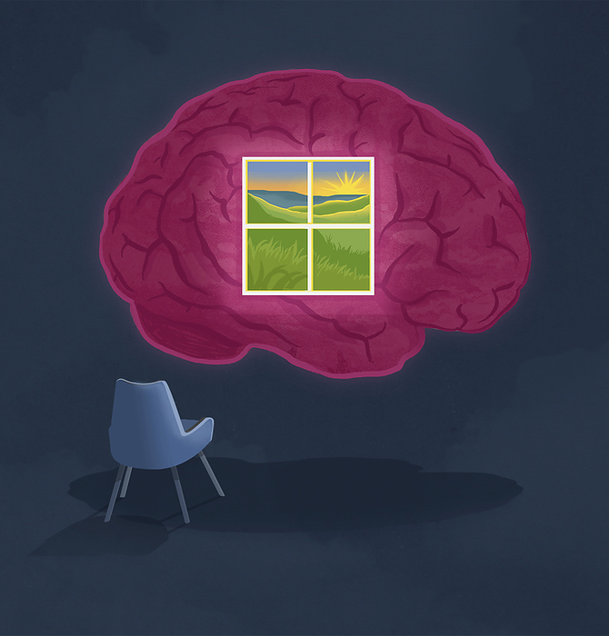 Mindfulness, conceptual illustration Conceptual illustration showing a sunrise within the brain., by SAM FALCONER, DEBUT ART SCIENCE PHOTO LIBRARY