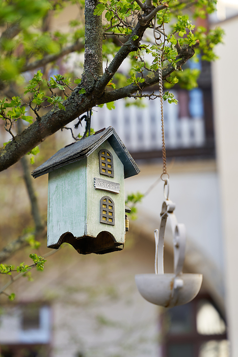 Wooden bird house as decoration in a tree in the garden Wooden bird house as decoration in a tree in the garden, by Zoonar Heiko Kueverl