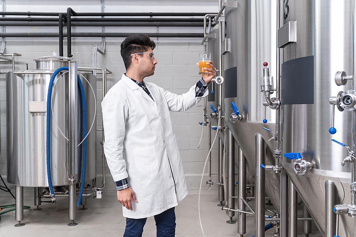 Brewer wearing white coat controlling process of beer fermentation while working at modern beer factory. Brewer wearing white coat controlling process of beer fermentation while working at modern beer factory., by Zoonar DAVID HERRAEZ