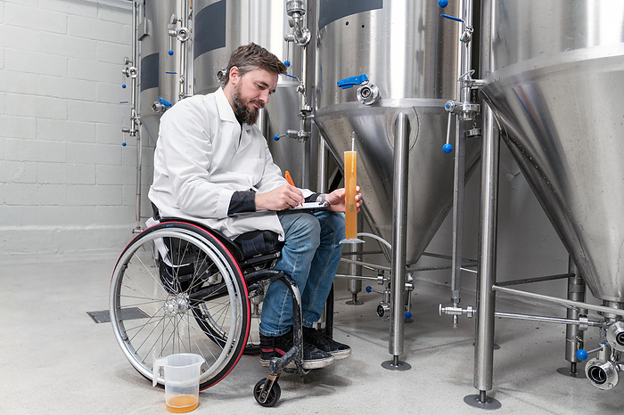 Person with disability who uses a wheelchair working at craft beer factory. Person with disability who uses a wheelchair working at craft beer factory., by Zoonar DAVID HERRAEZ