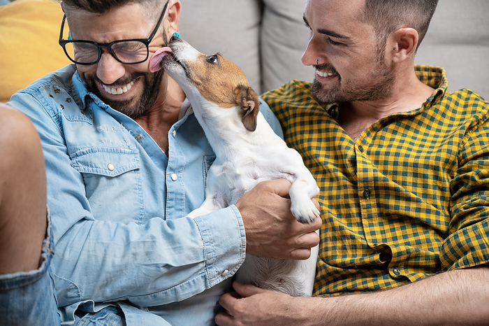 Happy gay couple sitting on floor and playing with dog at home Happy gay couple sitting on floor and playing with dog at home, by Zoonar DAVID HERRAEZ