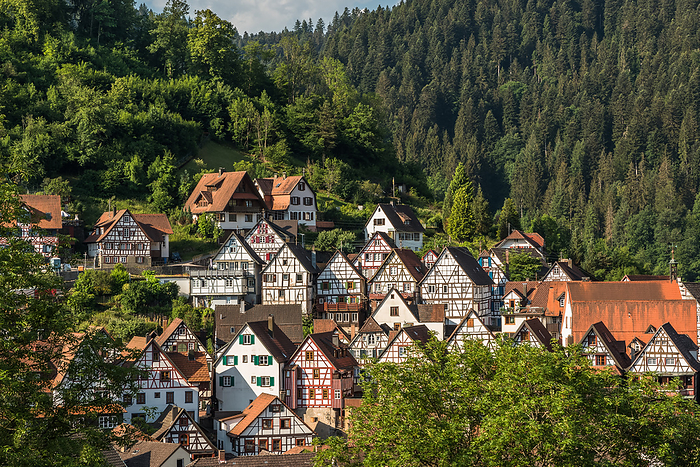Schiltach in the Black Forest Schiltach in the Black Forest, by Zoonar Conny Pokorny