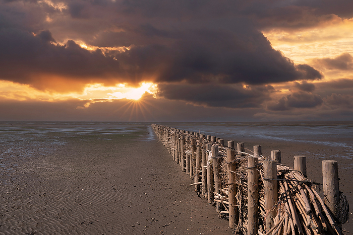Wadden Sea, North Frisia, Germany Wadden Sea, North Frisia, Germany, by Zoonar Alexander Lud