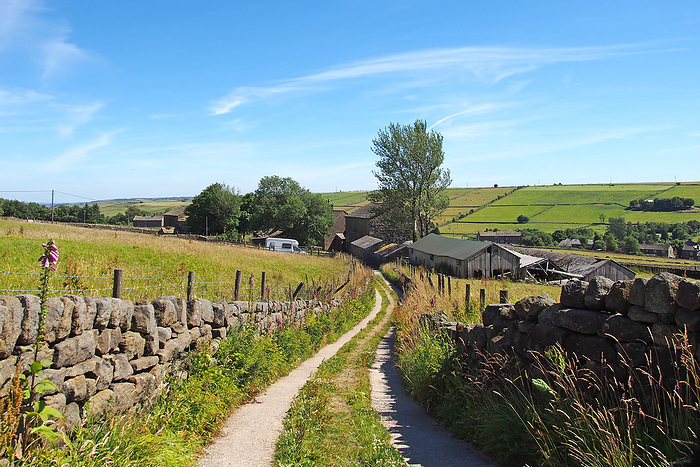 narrow country lane going down a hill in scenic west yorkshire countryside near colden village in calderdale west yorkshire narrow country lane going down a hill in scenic west yorkshire countryside near colden village in calderdale west yorkshire, by Zoonar PHILIP_OPENSH