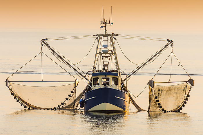 Fishing boat on the North Sea fishes with a trawl net, Schleswig Holstein, Germany Fishing boat on the North Sea fishes with a trawl net, Schleswig Holstein, Germany, by Zoonar Conny Pokorny