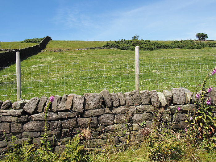 dry stone wall in front of a hillside grass covered meadow in calderdale west yorkshire dry stone wall in front of a hillside grass covered meadow in calderdale west yorkshire, by Zoonar PHILIP_OPENSH