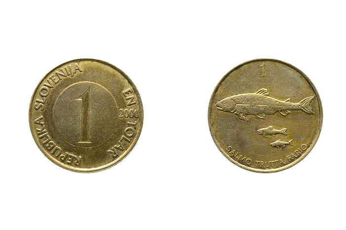 One tolar coin year 2000, Slovenia One tolar coin year 2000, Slovenia, by Zoonar RealityImages