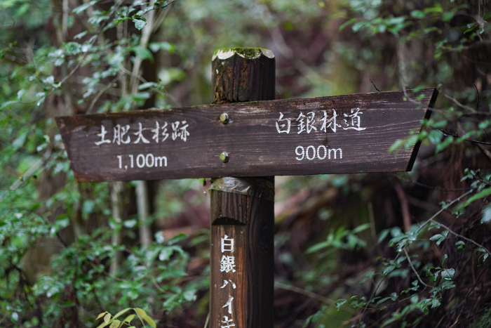Signpost (Dohi Oosugi Ruins, Shiragin Forest Road)