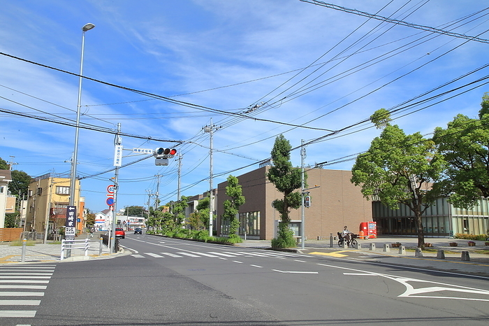 Abiko Station Entrance Intersection, Chiba