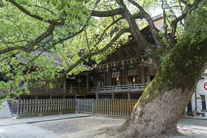 Konpira Shrine Kagawa Prefecture