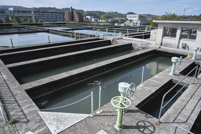 Photographed in 2023 Kanazawa Mue Water Filtration Plant   Flock Formation Pond October 2023 Kanazawa City, Ishikawa Prefecture