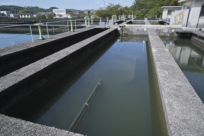 Photographed in 2023 Kanazawa Mue Water Filtration Plant   Flock Formation Pond October 2023 Kanazawa City, Ishikawa Prefecture