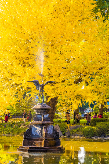 Tokyo Hibiya Park (Ungata Pond) in autumn