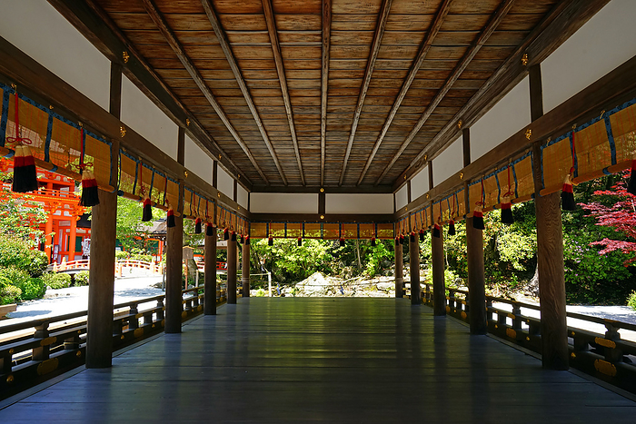 Kamigamo Shrine Hashiden  Maiten  Kyoto Pref.                                