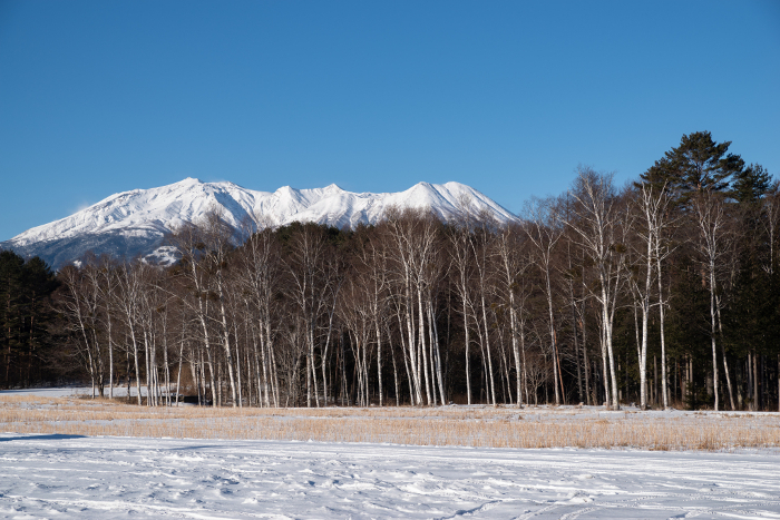 Kaida Kogen Plateau in Winter Nagano Prefecture