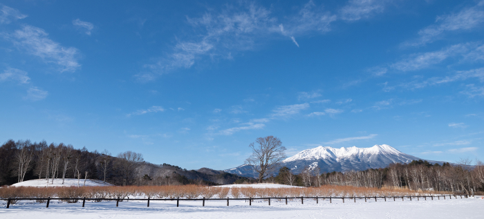Kaida Kogen Plateau in Winter Nagano Prefecture