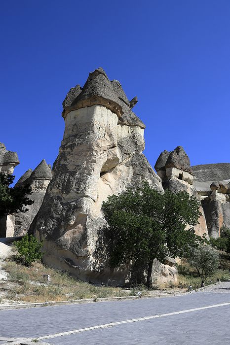 Pashabar Valley Fairy Chimneys Cappadocia