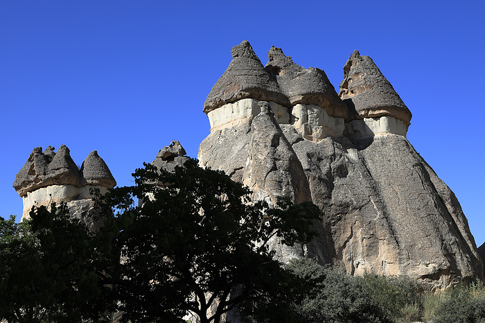 Pashabar Valley Fairy Chimneys Cappadocia