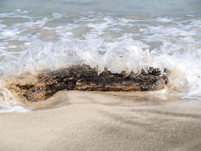Waves crash on the driftwood at the edge of the surf.