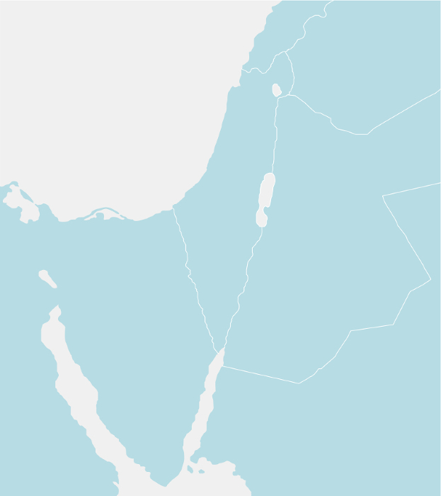 Israel and neighboring countries Vector map illustration