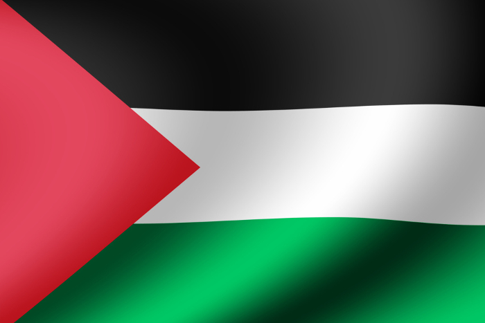 Illustration of a flag fluttering and waving in the wind | Palestine