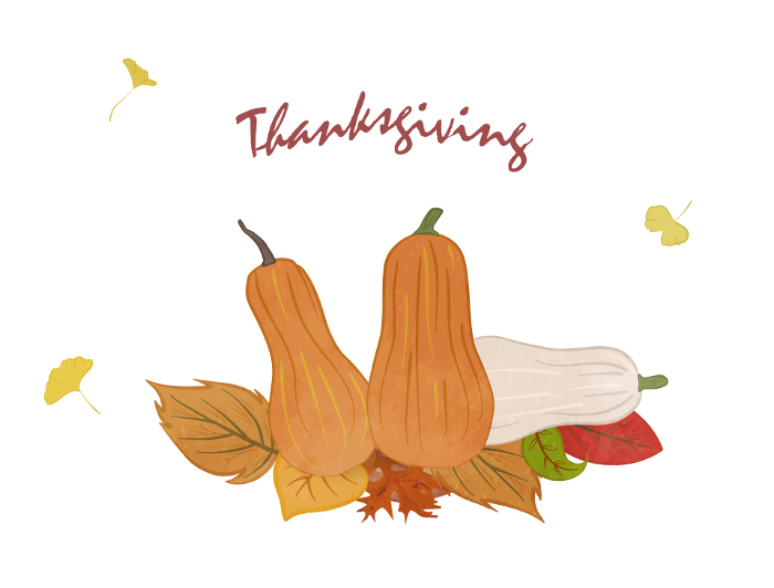 Thanksgiving Day image illustration of a pumpkin