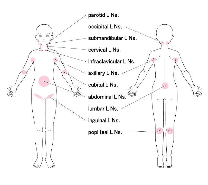 Location of major lymph nodes throughout the body
