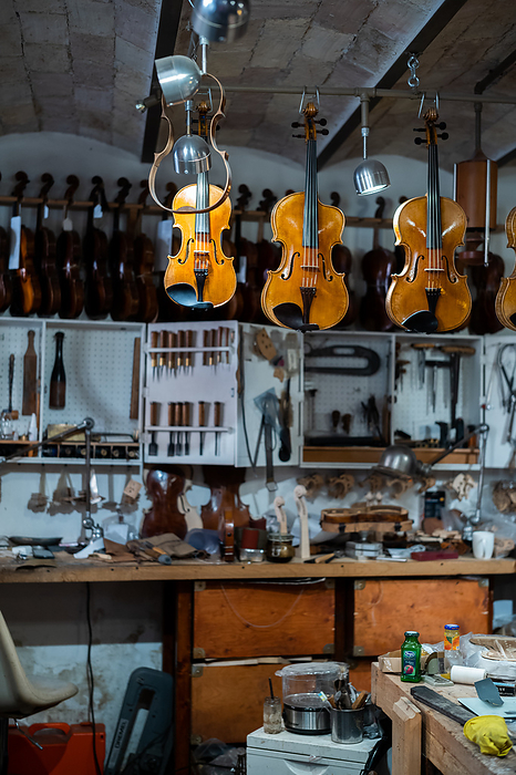 Violin display in workshop
