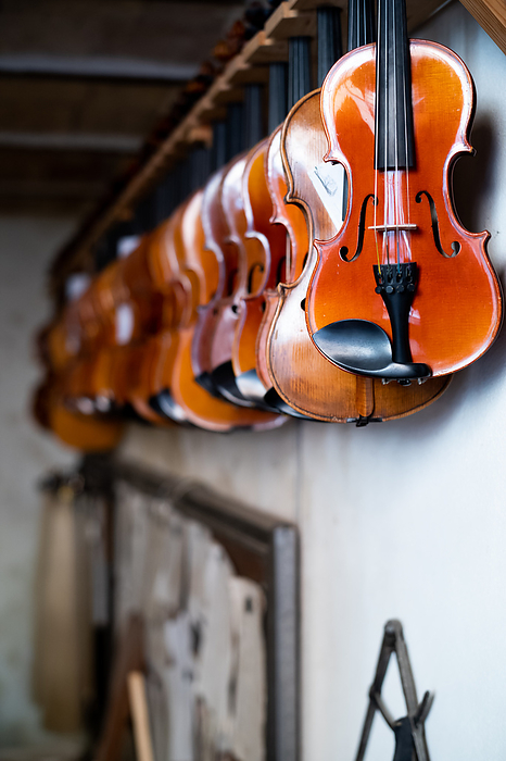 Violin display in workshop