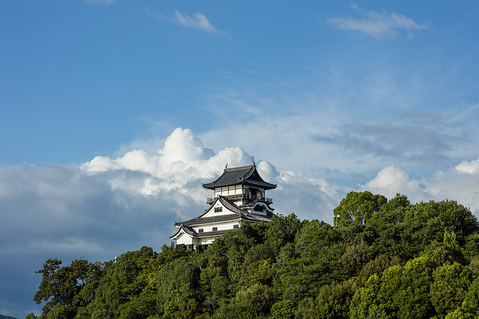 National Treasure Inuyama Castle Inuyama Castle, Inuyama City, Aichi Prefecture, Japan, National Treasure, August