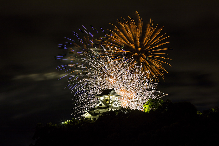National Treasure Inuyama Castle and Fireworks