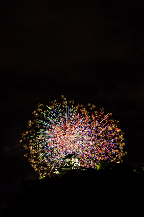 National Treasure Inuyama Castle and Fireworks  