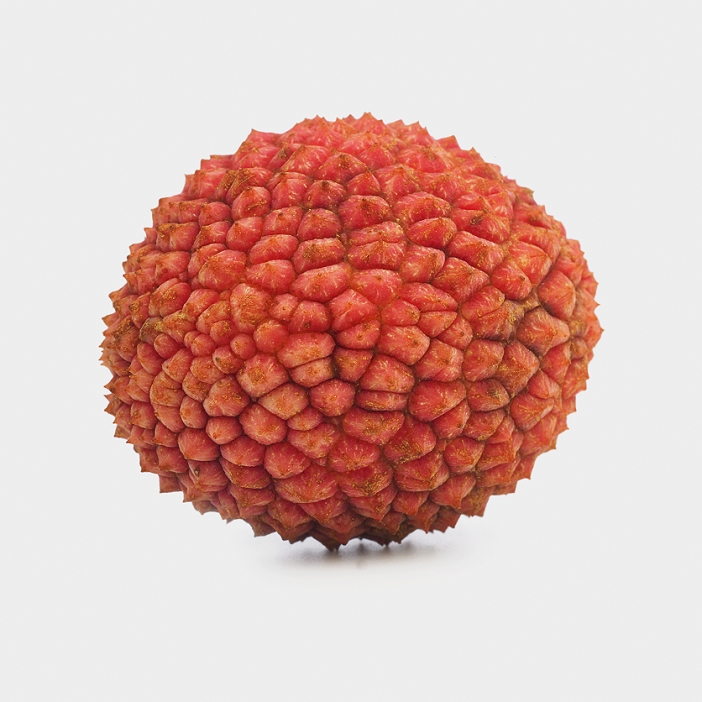 Lychee (litchi chinensis) on a white background