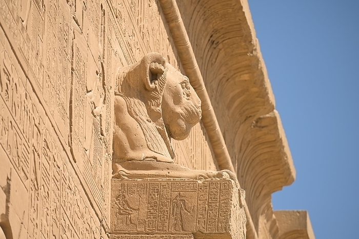 Lion-headed gargoyle, Temple of Hathor, Dendera, Qina, Egypt, Africa, by Schoening