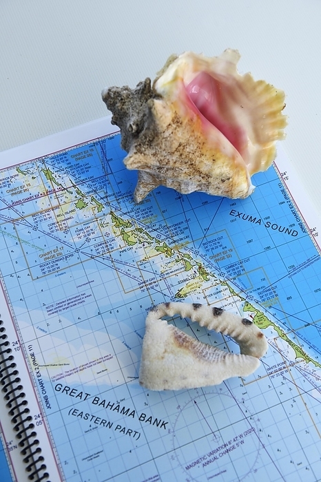 Map of the Great Bahama Bank with Conch Shell, Exuma Cays, Bahamas, Central America, by Norbert Eisele-Hein
