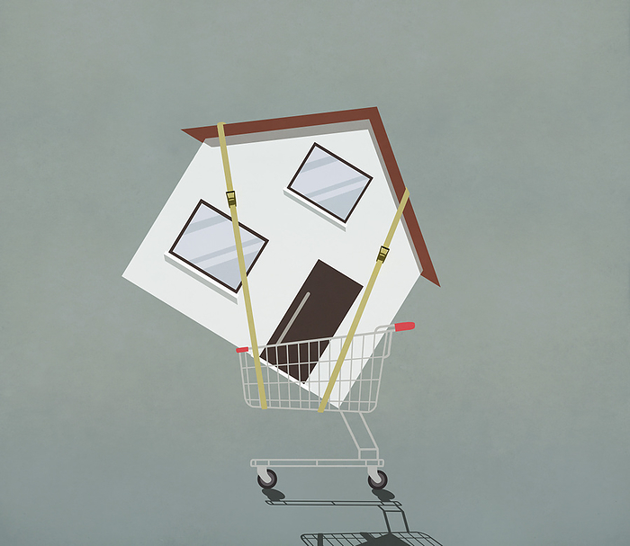 Strapped house in shopping cart, by Malte Mueller