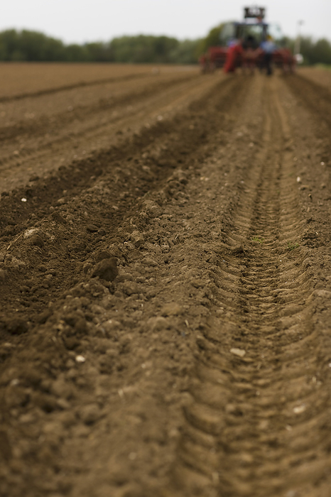 Agricultural field with tractor tyre tracks, by Ableimages